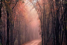 镜报：尽管皇马可能介入，但阿森纳有信心今夏签下祖比门迪.