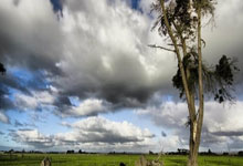 南宫28官网：有5人曾6夺欧冠！魔笛上榜，梅罗无缘，一人用冠.