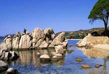 镜报：尽管皇马可能介入，但阿森纳有信心今夏签下祖比门迪.